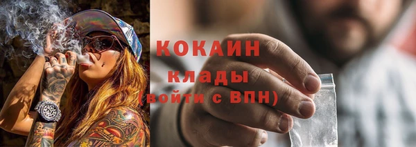 гидропоника Дмитриев