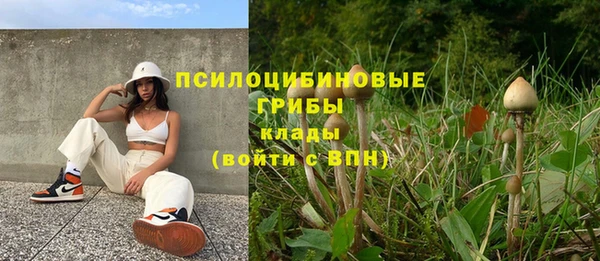 прущие крисы Дмитров