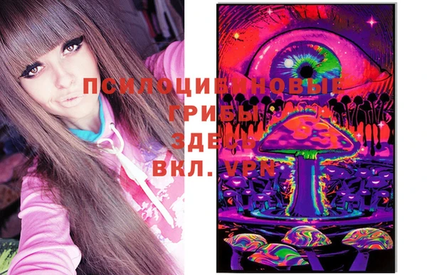 прущие крисы Дмитров