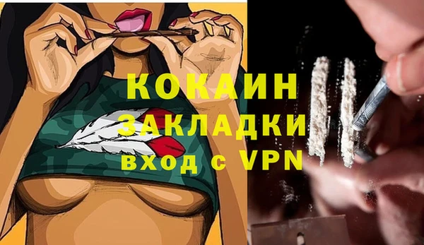 гидропоника Дмитриев